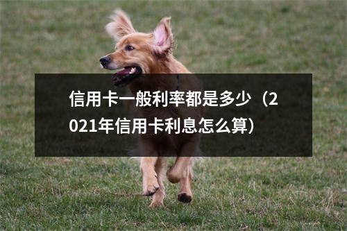 信用卡一般利率都是多少（2021年信用卡利息怎么算）