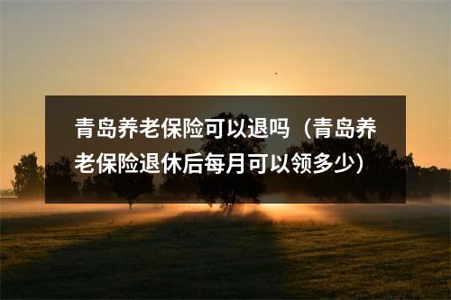 青岛养老保险可以退吗（青岛养老保险退休后每月可以领多少）
