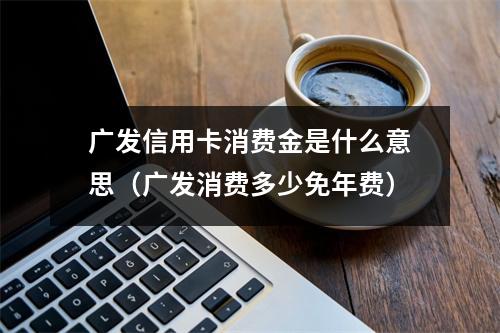 广发信用卡消费金是什么意思（广发消费多少免年费）