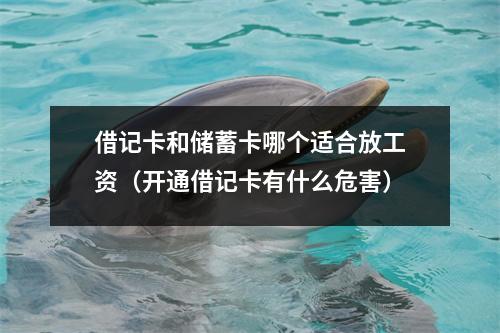 借记卡和储蓄卡哪个适合放工资（开通借记卡有什么危害）