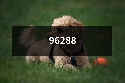 96288