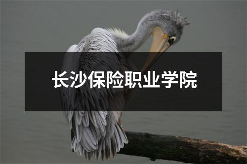 长沙保险职业学院