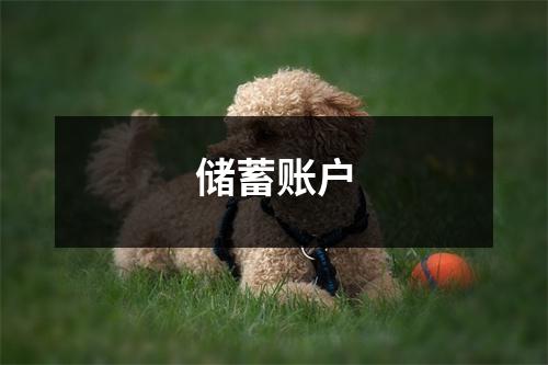 储蓄账户