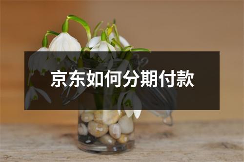 京东如何分期付款
