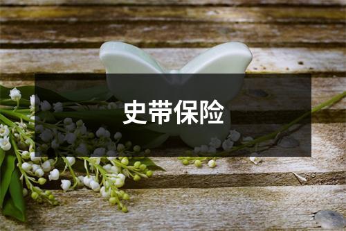史带保险