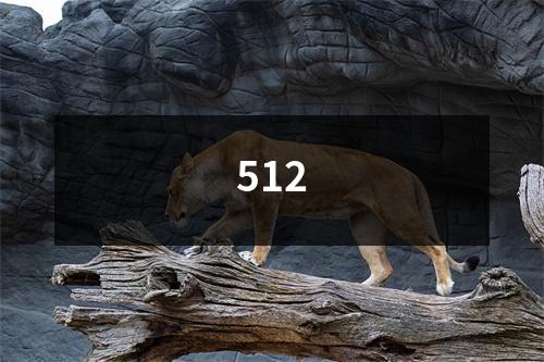 512