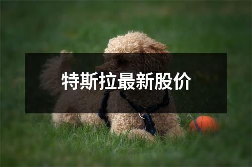 特斯拉最新股价