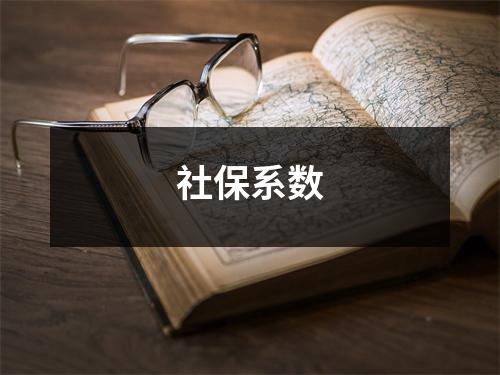 社保系数