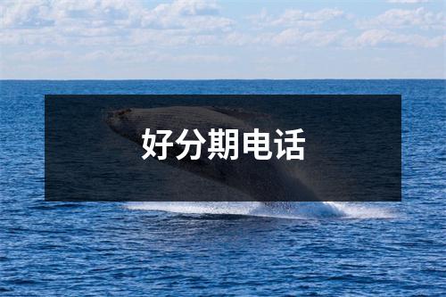 好分期电话