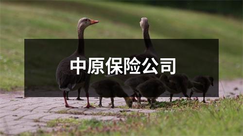 中原保险公司