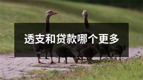 透支和贷款哪个更多