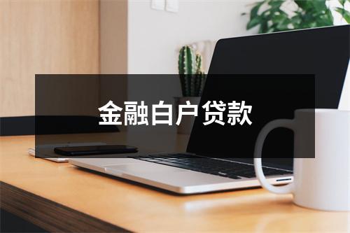 金融白户贷款