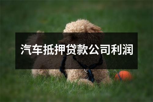 汽车抵押贷款公司利润