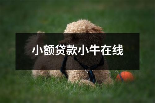 小额贷款小牛在线
