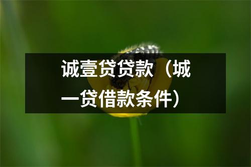 诚壹贷贷款（城一贷借款条件）