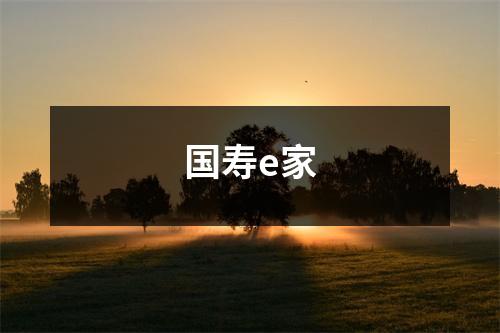 国寿e家
