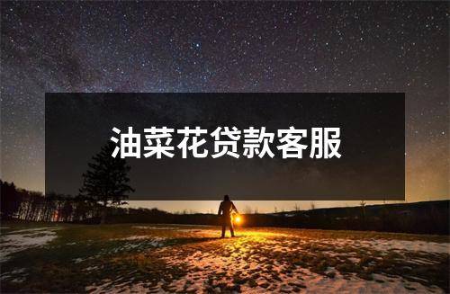 油菜花贷款客服