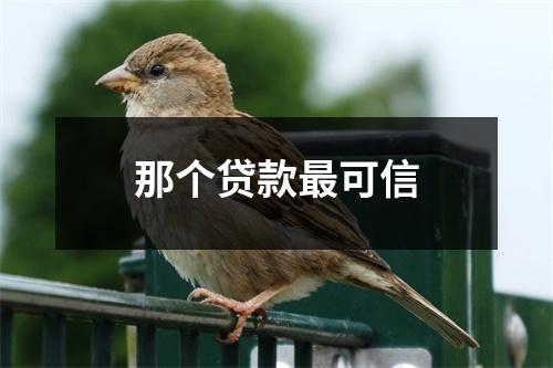 那个贷款最可信