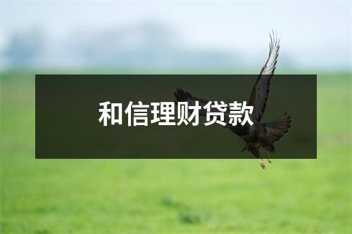 和信理财贷款