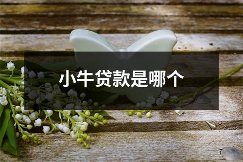 小牛贷款是哪个