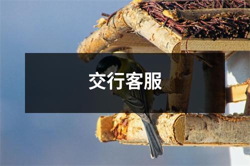 交行客服
