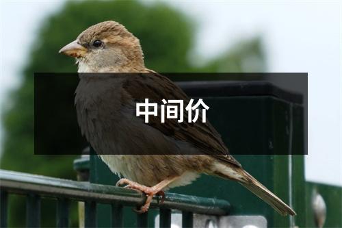 中间价