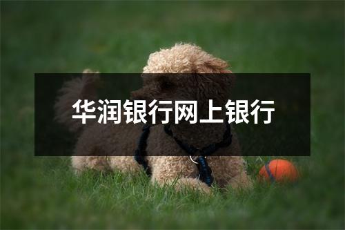 华润银行网上银行