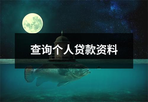查询个人贷款资料