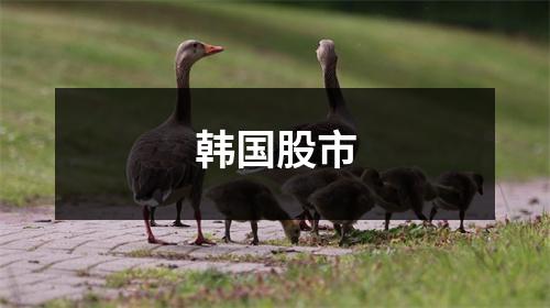 韩国股市