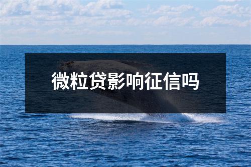 微粒贷影响征信吗