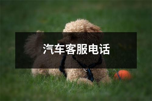 汽车客服电话
