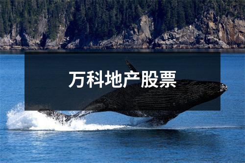 万科地产股票