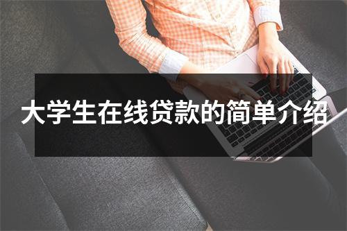 大学生在线贷款的简单介绍