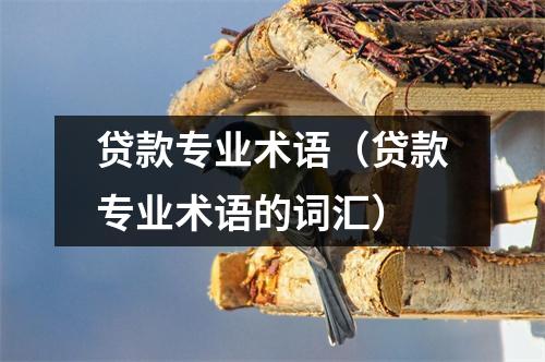 贷款专业术语（贷款专业术语的词汇）