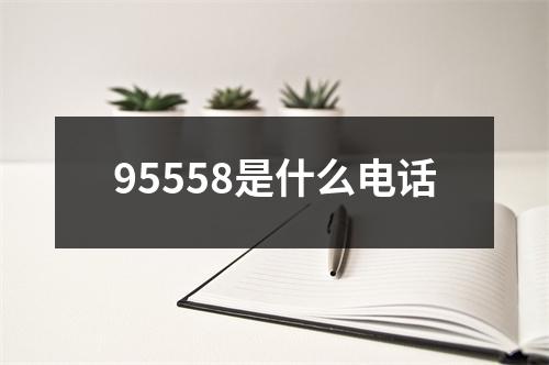 95558是什么电话