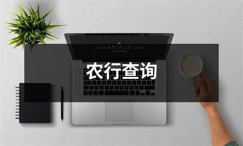 农行查询