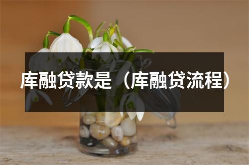 库融贷款是（库融贷流程）