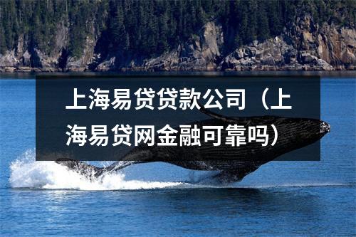 上海易贷贷款公司(上海易贷网金融可靠吗)