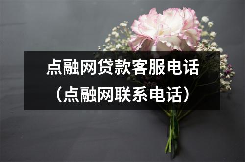 点融网贷款客服电话(点融网联系电话)