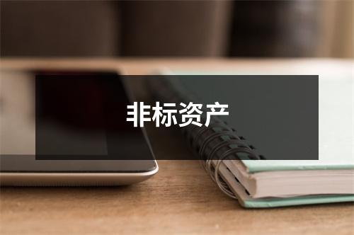 非标资产