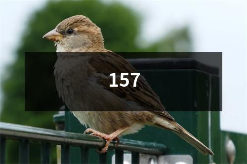 157