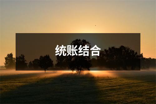 统账结合