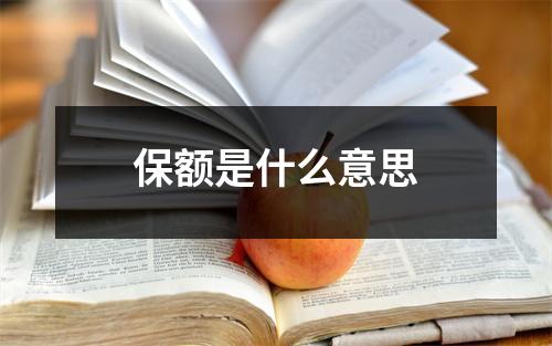 保额是什么意思