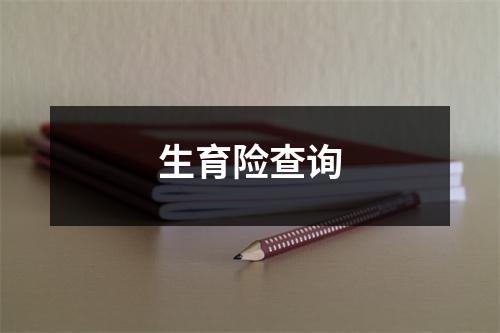 生育险查询