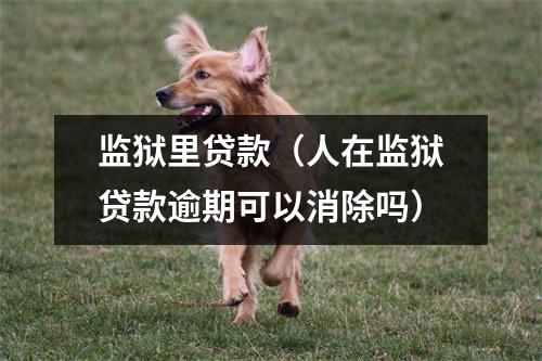 监狱里贷款（人在监狱贷款逾期可以消除吗）