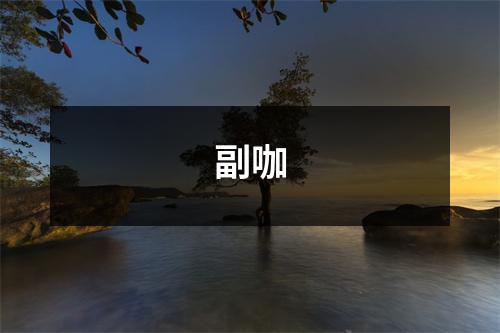 副咖