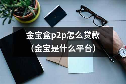 金宝盒p2p怎么贷款（金宝是什么平台）