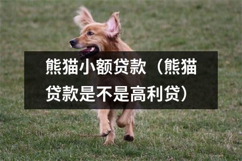 熊猫小额贷款(熊猫贷款是不是高利贷)
