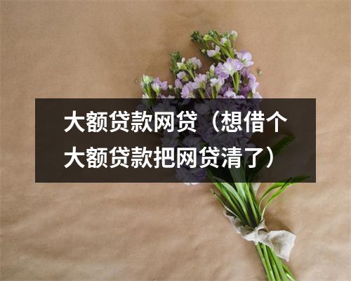 大额贷款网贷(想借个大额贷款把网贷清了)