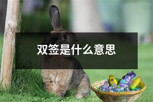 双签是什么意思
